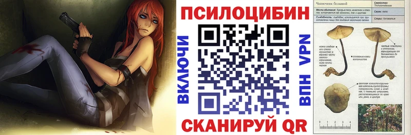 Галлюциногенные грибы Psilocybe  Новоуральск 